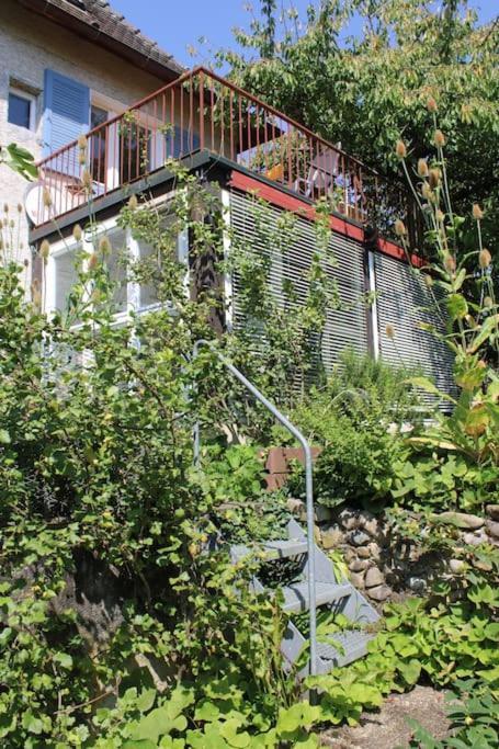 Erholung Mit Seesicht, Terrasse Und Garten อูเบอร์ลิงเงน ภายนอก รูปภาพ
